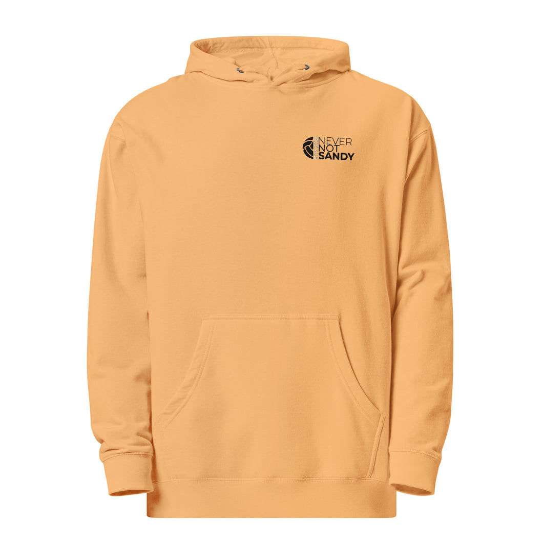 NNS Clean Embroidered Hoodie